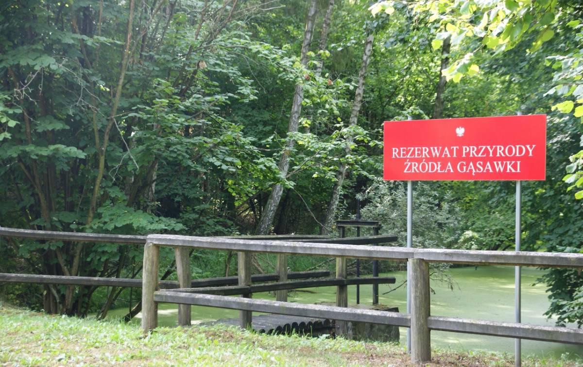 Rezerwat Źródła Gąsawki